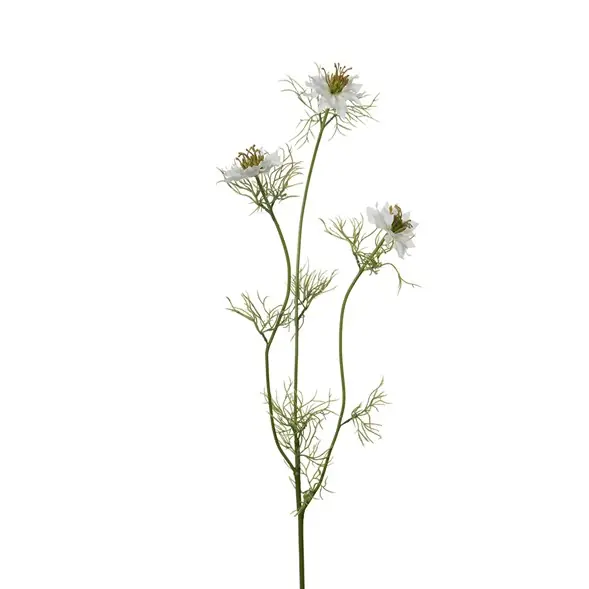 Utförsäljning Nigella