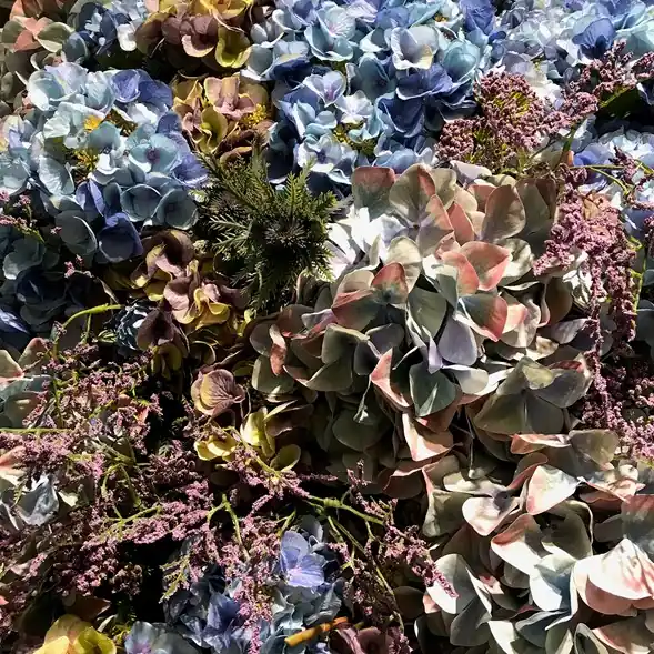 Hortensia snittblomma Billigare