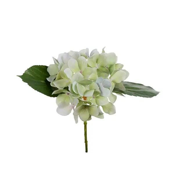 Sista chansen Hortensia snittblomma