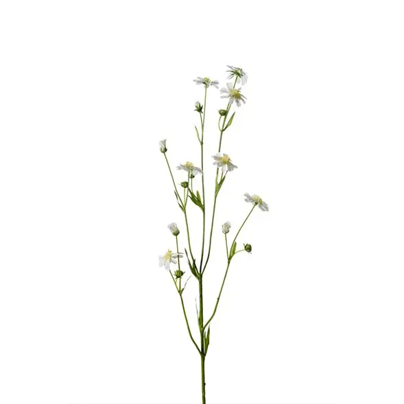 Trygg betalning Cosmos