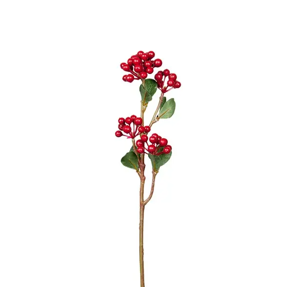 Beställ idag Bärkvist med röda bär