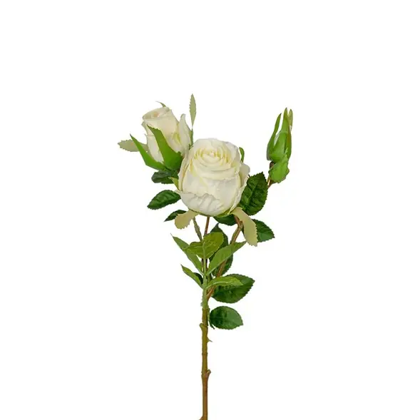 Ros trestänglad Premium