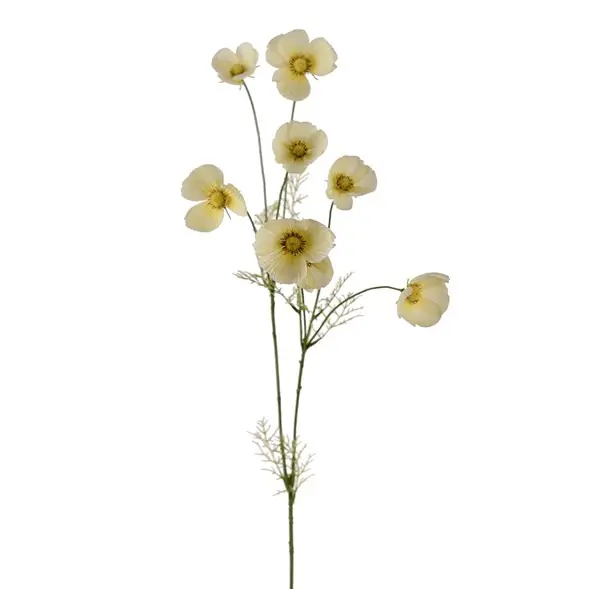 Erbjudandepris Rosenskära