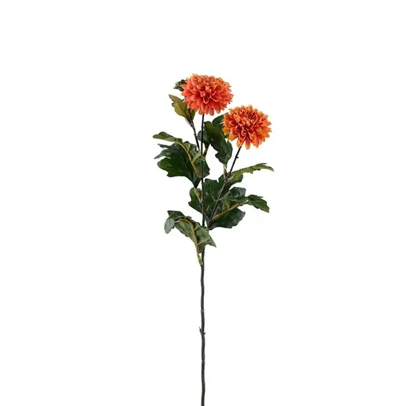 Expressleverans Chrysanthemum
