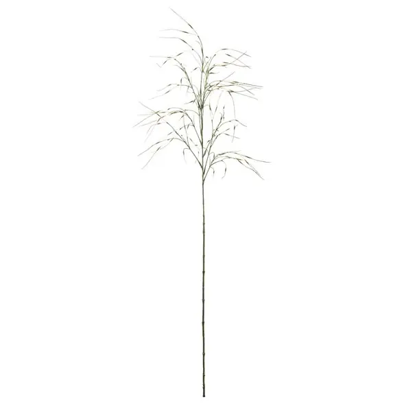Rabatt Gräs