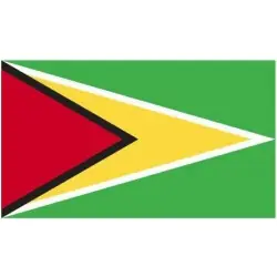 Billig Flagga Guyana