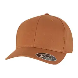 Flexfit 110 Curved Snapback Snabb leverans