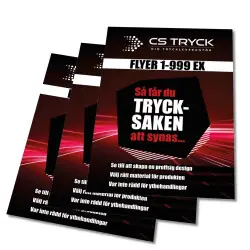 Flyers express Expressleverans