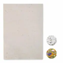 Asidi - A4-ark fröpapper vildblommor Premium