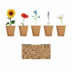 Beställ idag Flowers - Odlingssats för blommor