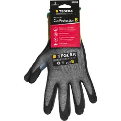 Begränsad tid TEGERA Infinity 8805R