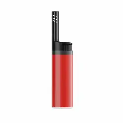 BIC EZ REACH LIGHTER Reapris