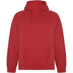 Vinson 300 g/m² unisex hoodie ekologisk bomull Fynd