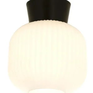 Lägg i varukorgen Plafond Glas Aneta Lighting Vanja Svart/Vit 20cm