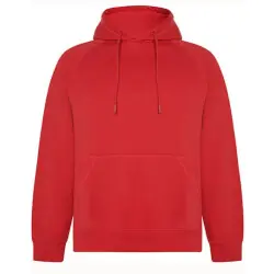 Vinson Organic Hooded Sweatshirt Snabb frakt