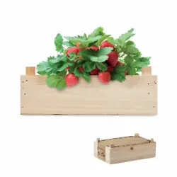Strawberry - Jordgubbskit i trälåda Endast idag