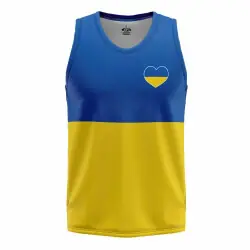 Ukraina linne - Ukrainsk flagga Endast idag