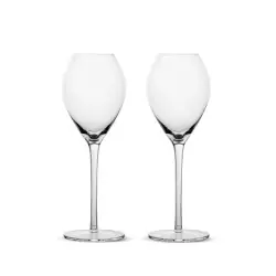 Beställ idag Saga champagneglas, 2-pack