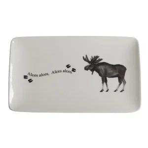 Assiett med handritat motiv Älg 1-pack Fynd
