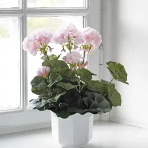Endast denna vecka Konstväxt Pelargon 35 cm