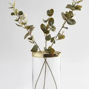 Trygg betalning Konstväxt Eucalyptus kvist