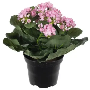 I lager Konstväxt Kalanchoe