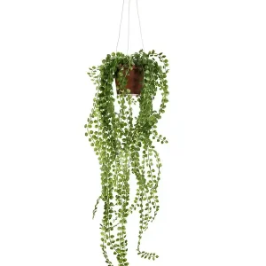 Bästa pris Konstväxt Pilea