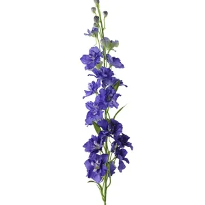 Konstväxt snittblomma Delphinium 90 cm 1-pack Fynd