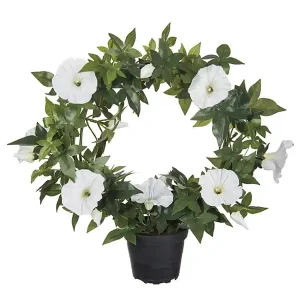 Endast denna vecka Konstväxt på båge klockformade blommor