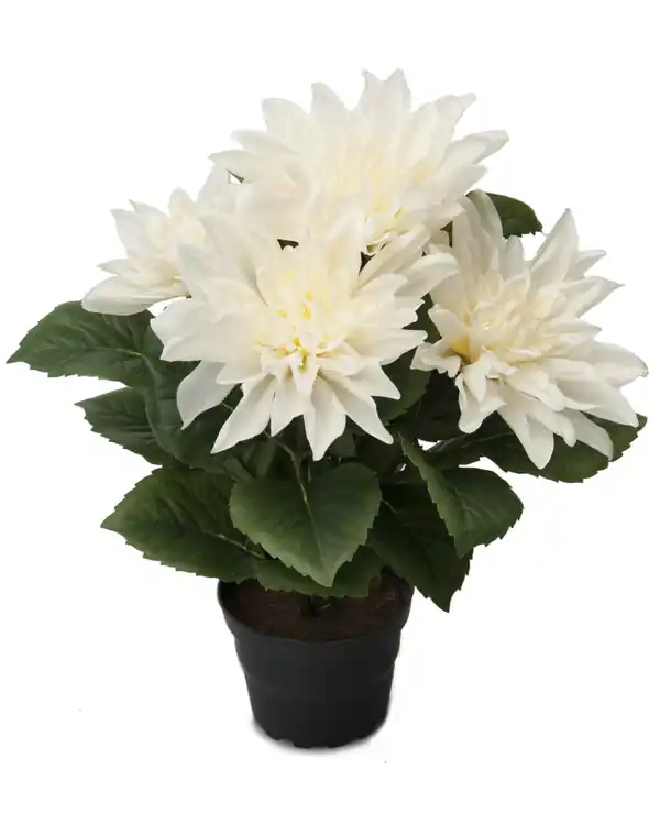 Begränsad tid Konstäxt Dahlia 30 cm