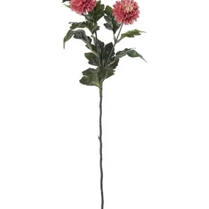 Konstväxt snittblommaChrysanthemum 53cm 1-pack Fynd