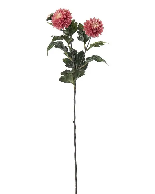 Konstväxt snittblommaChrysanthemum 53cm 1-pack Fynd