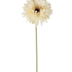 Konstväxt snittblomma Gerbera 55 cm 1-pack Köp online
