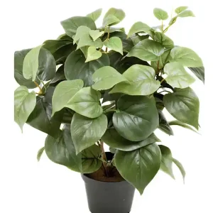 Fynd Konstväxt Philodendron