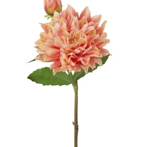 Konstväxt snittblomma Dahlia 70cm 1-pack risnedsättning