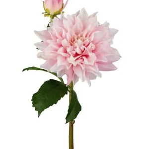 Konstväxt snittblomma Dahlia 70cm 1-pack Nyhet
