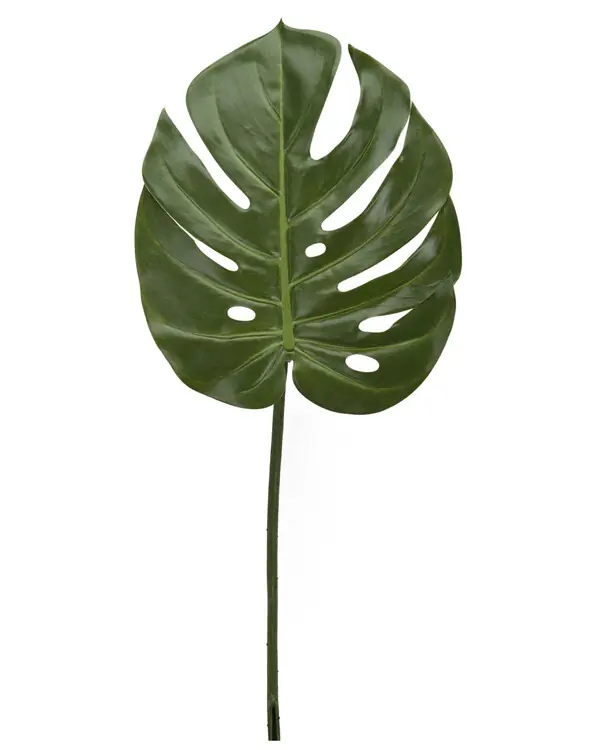 Trygg betalning Konstväxt Monstera Blad 60 cm
