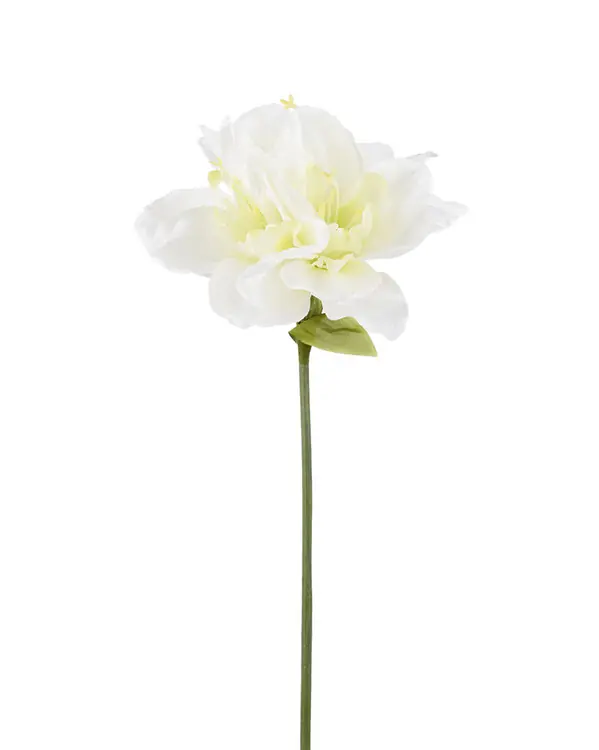 Köp nu Konstväxt snittblommaAmaryllis 65 cm 1-pack
