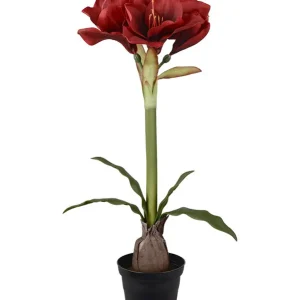 Konstväxt Amaryllis 50cm Erbjudandepris