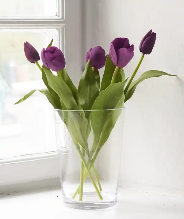 Handla nu Konstväxt Tulpan 5-pack