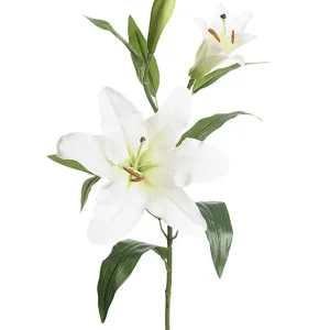 Konstväxt snittblomma Lilja 70 cm 1p Kundfavorit