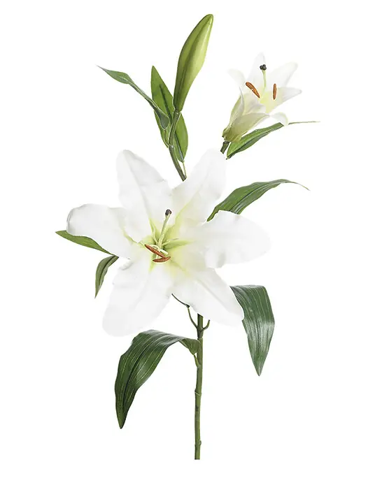 Konstväxt snittblomma Lilja 70 cm 1p Kundfavorit