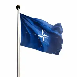 Expressleverans NATO Flagga 300 cm (12 m)