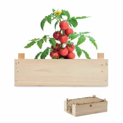 Tomato - Tomatkit i trälåda Begränsat antal