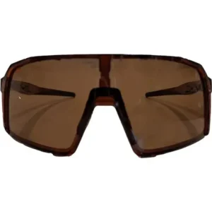 Cykelglasögon ALPE Eyewear Stelvio Polarized Brown Extra rabatt